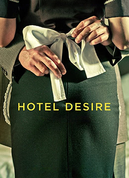 欲望酒店HotelDesire2011BD1080P中英双字海报剧照
